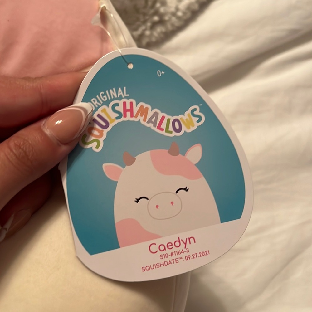 Caedyn squishmellow